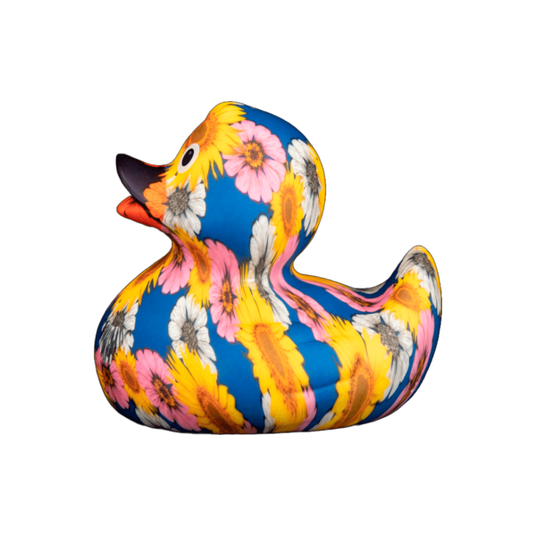 Art Duck 2
