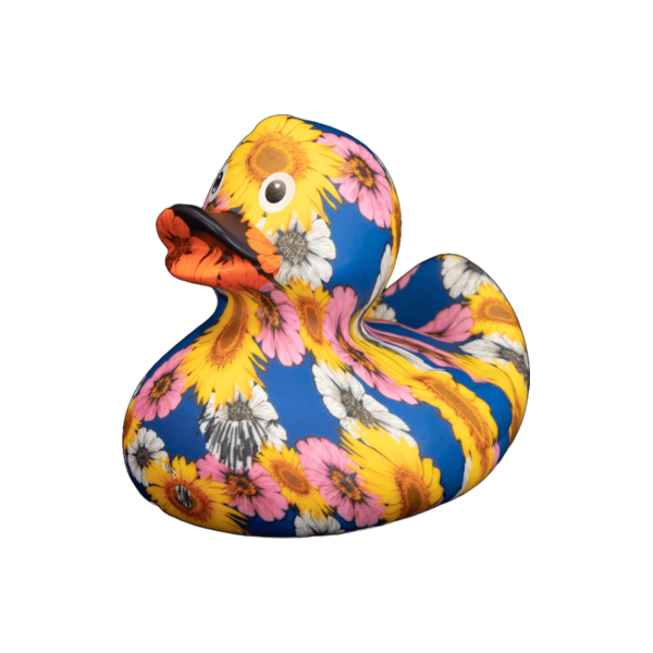 Art Duck 2