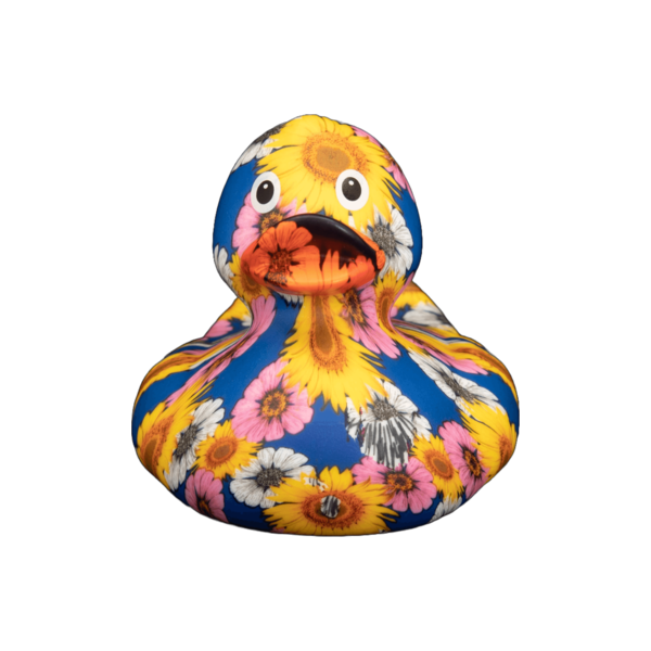 Art Duck 2