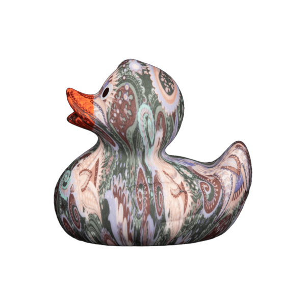 Art Duck 5
