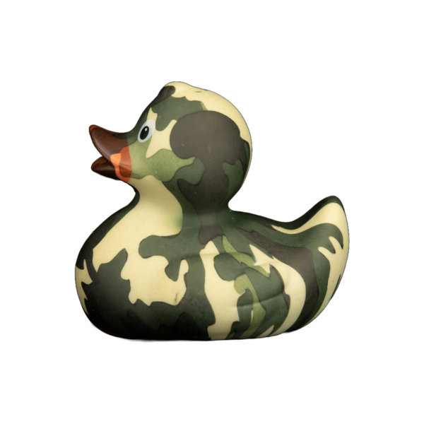 Art Duck 6