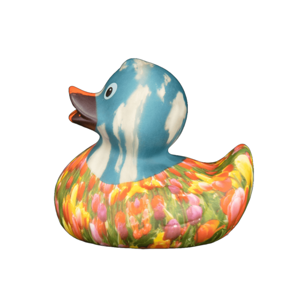 Art Duck 9