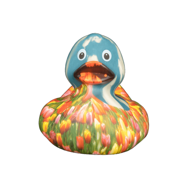 Art Duck 9