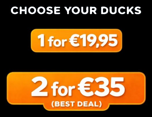 Bundle pricing