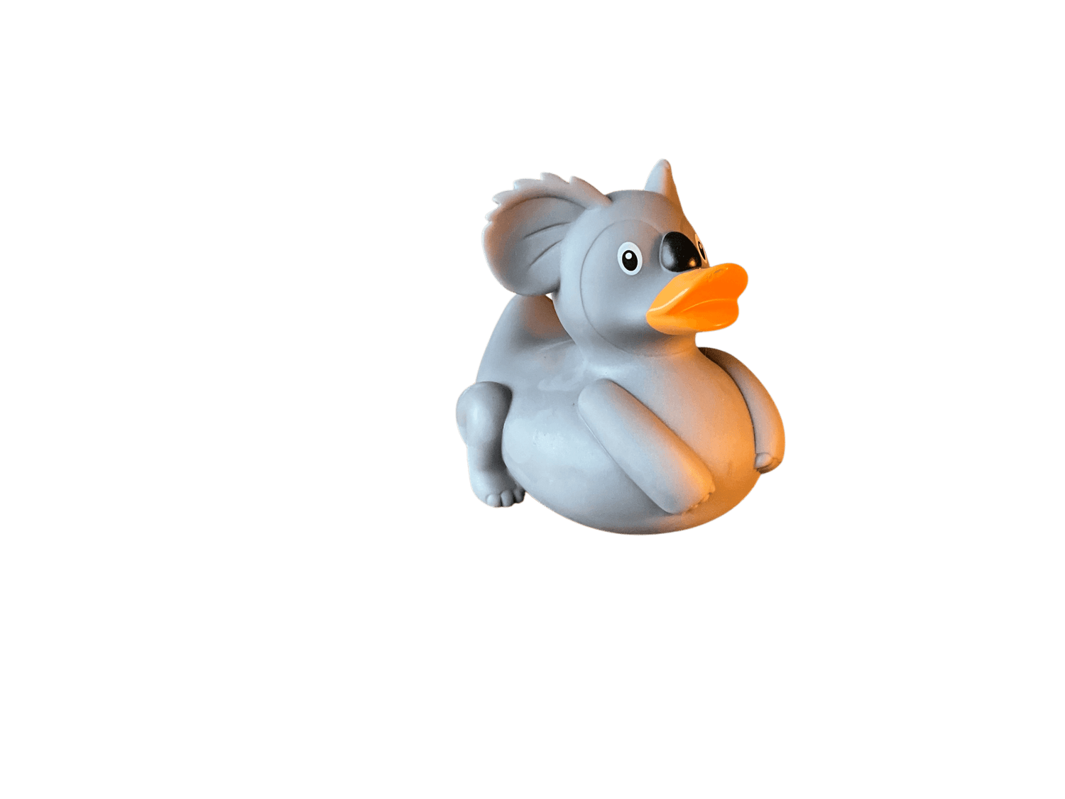 Koala Duck wl 1212