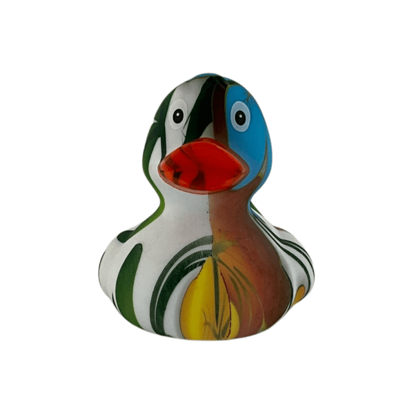 Art Duck 15