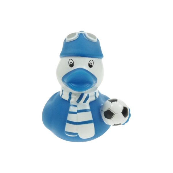 Icecold Football Fan