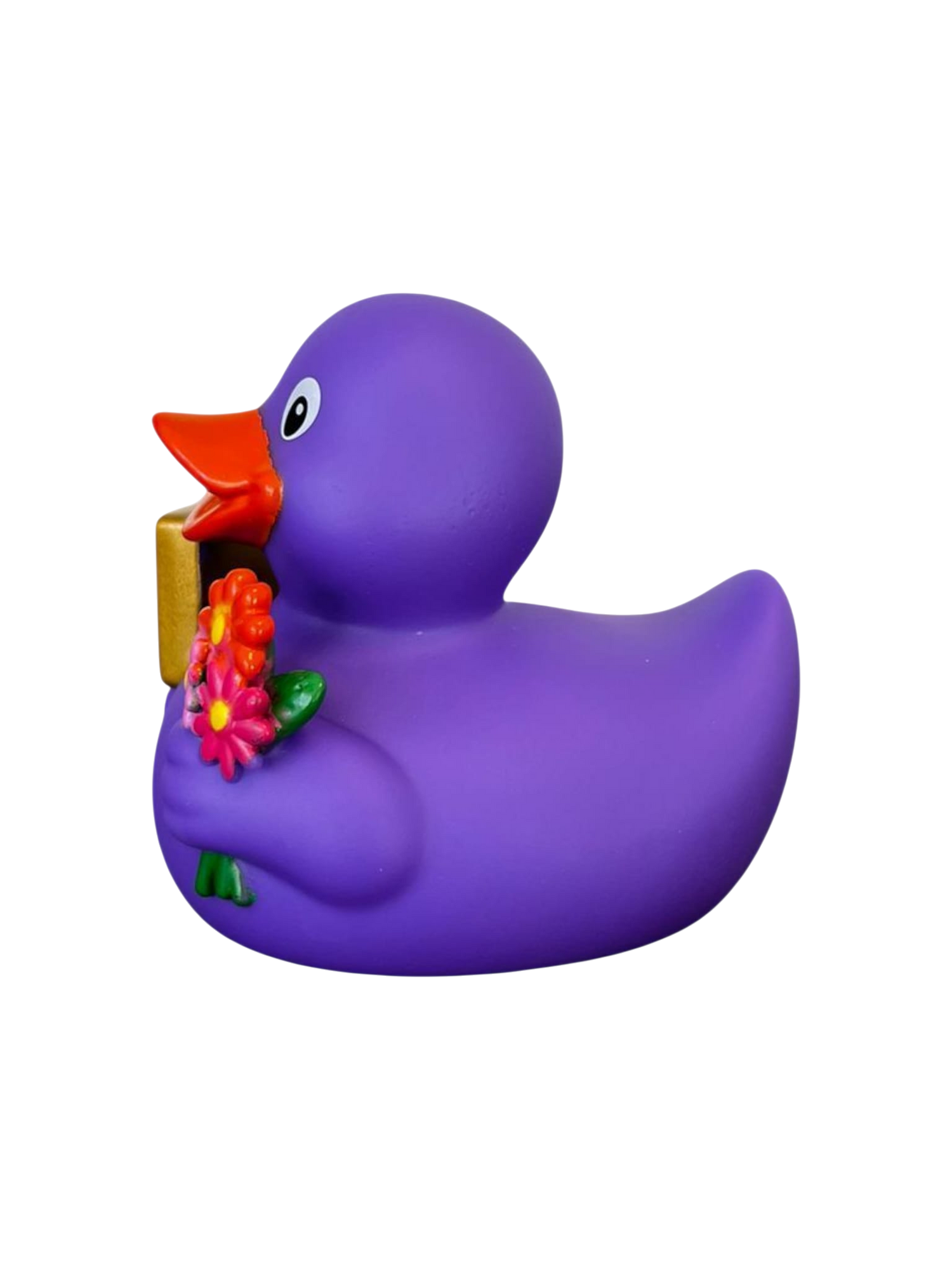 Signduck Purple