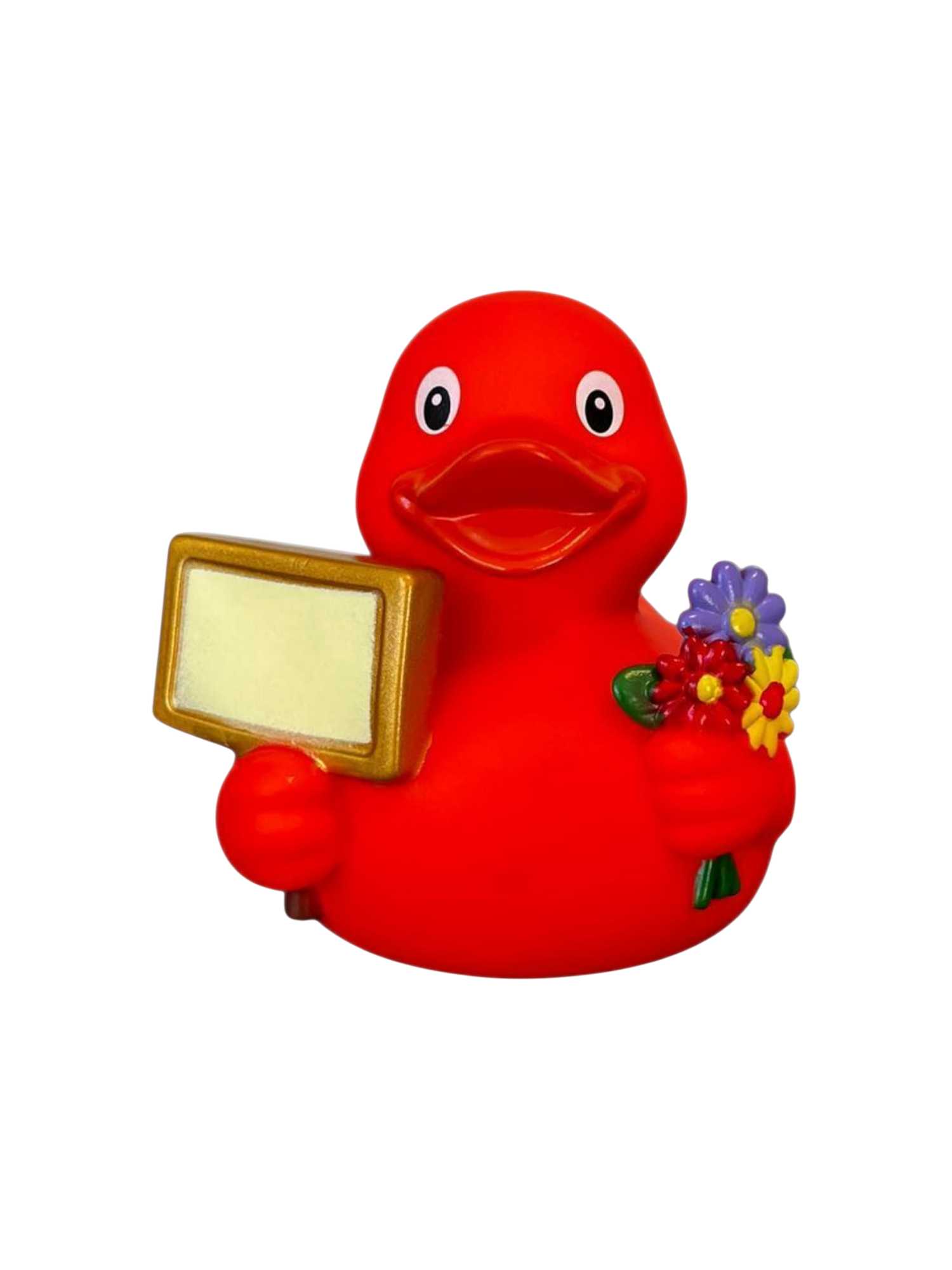 Signduck