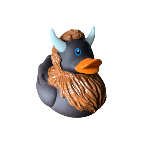 Bison Duck