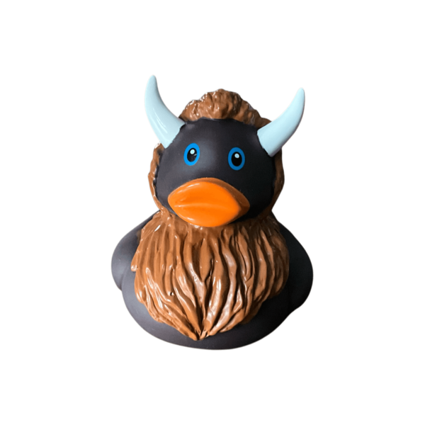 Bison Duck
