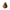 Bison Duck