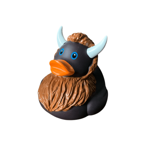 Bison Duck