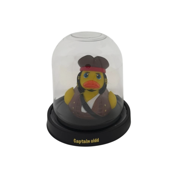 Captain Vidd