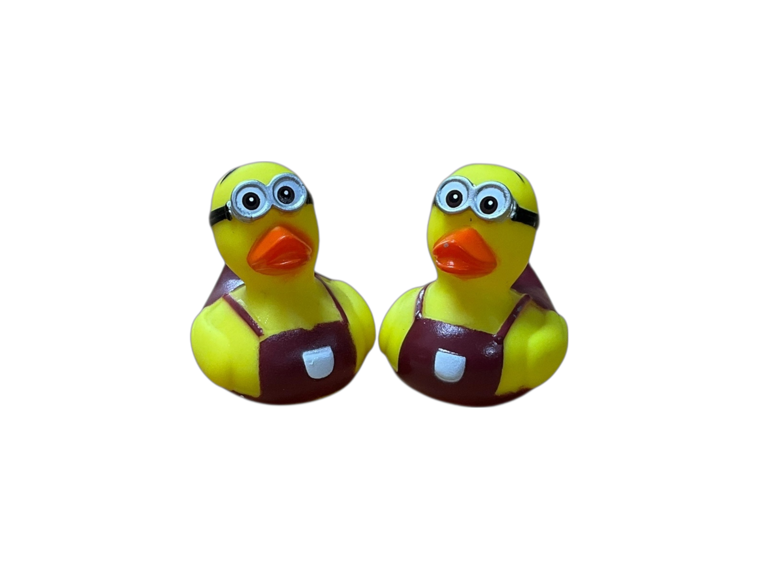 Mini Double Cockle sm 3534