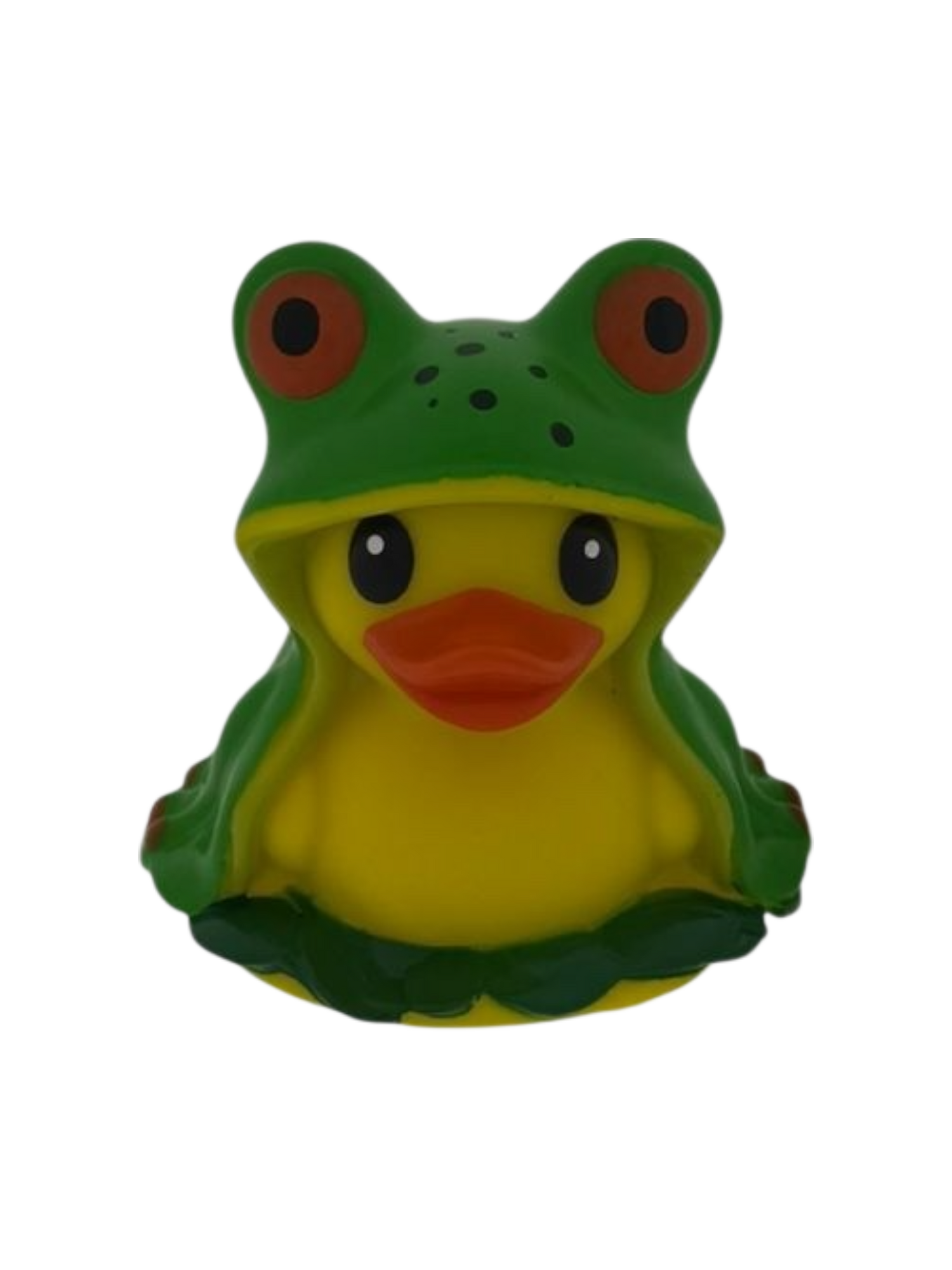 Froggie dd 1009