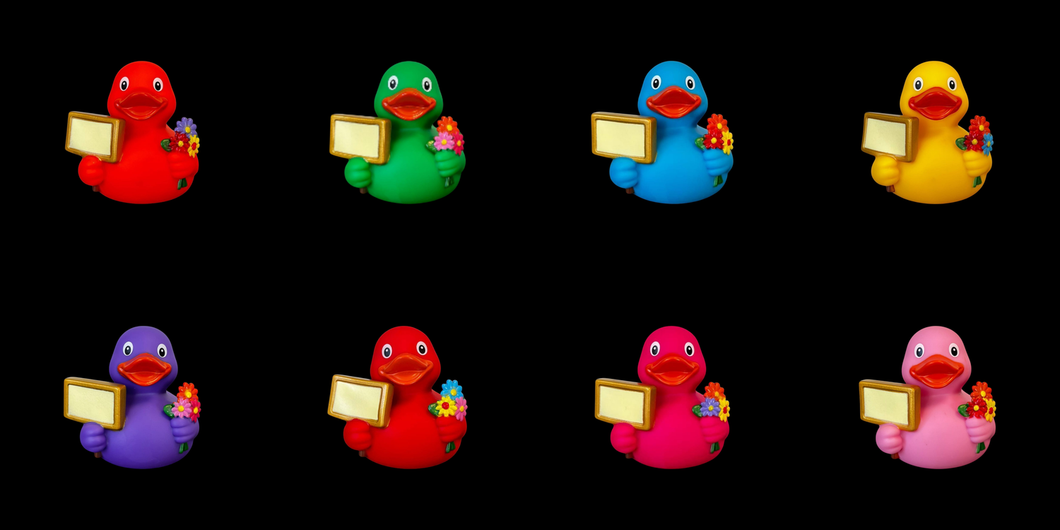 Signduck