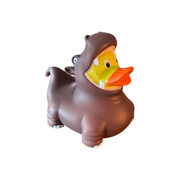 Hippo Duck