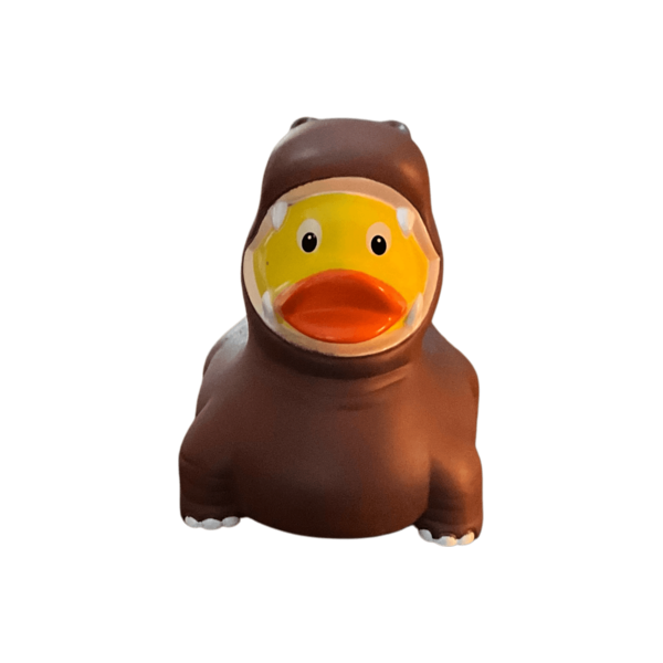 Hippo Duck