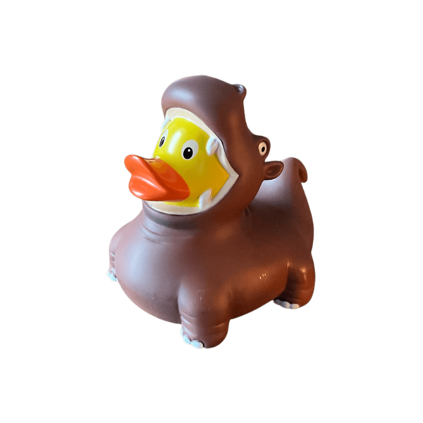 Hippo Duck