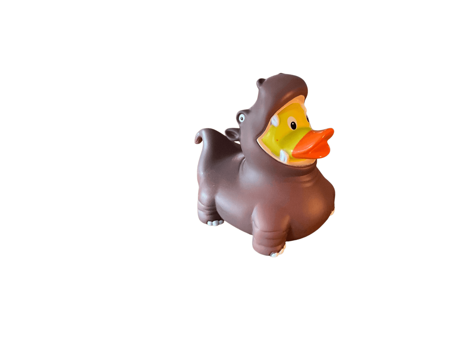 Hippo Duck wl 1213