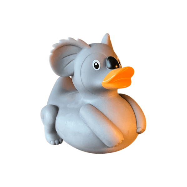Koala Duck
