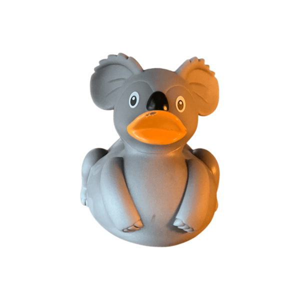Koala Duck