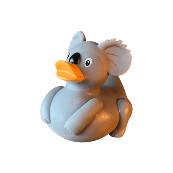 Koala Duck
