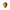 Lion Duck