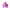 Octopus Duck