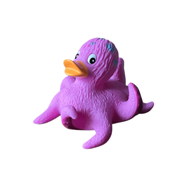 Octopus Duck