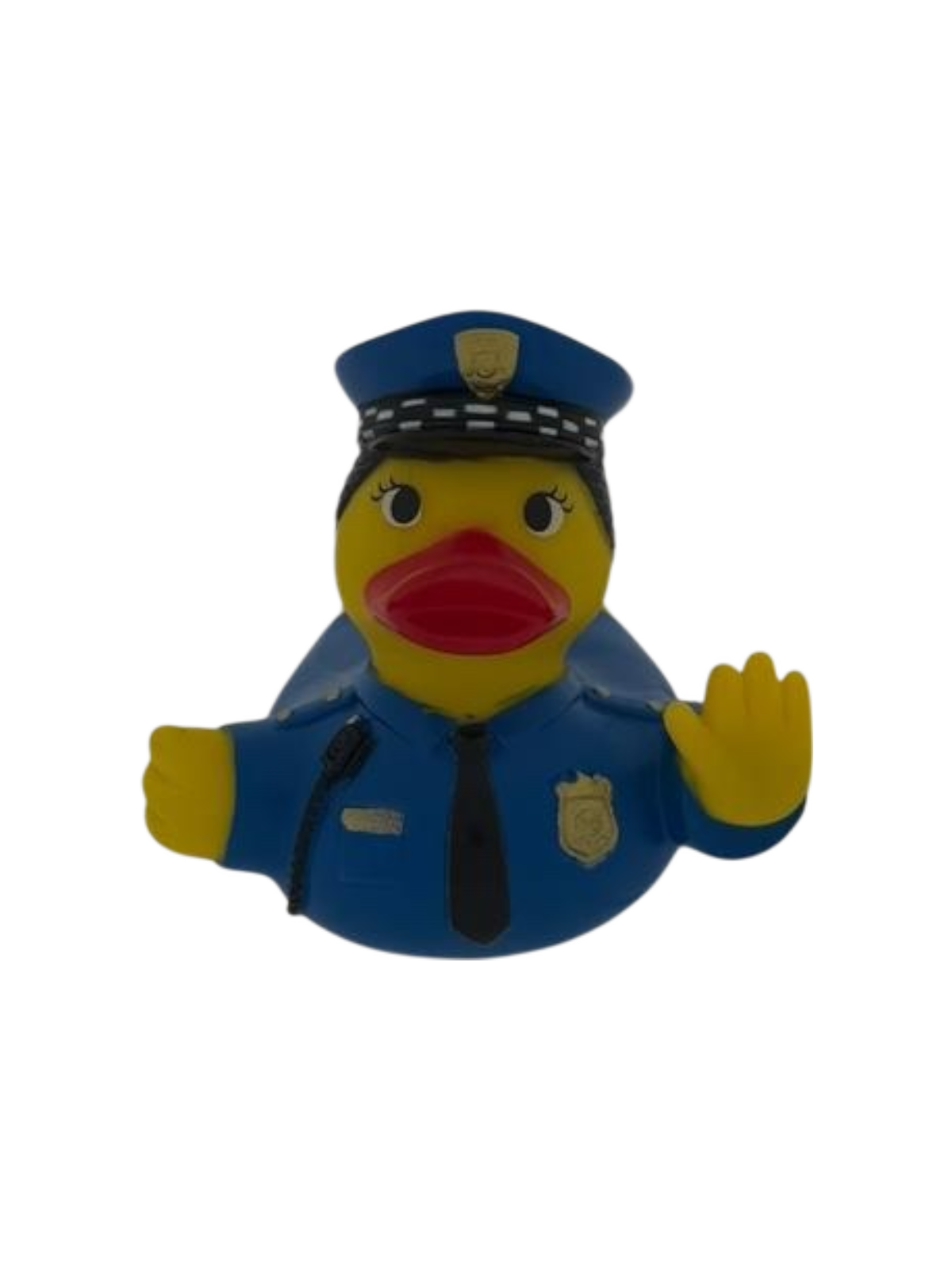 Officer Delaney dd 1003