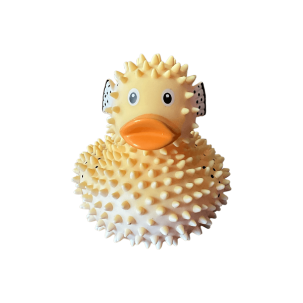 Puffer Duck
