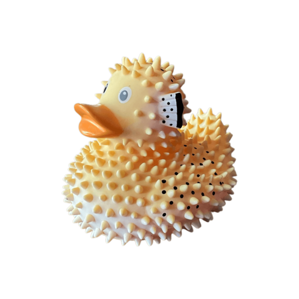 Puffer Duck