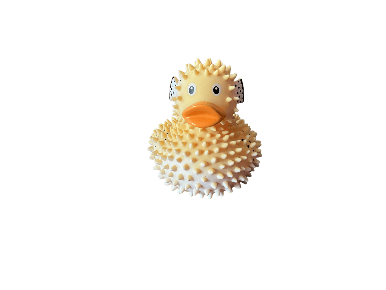 Puffer Duck wl 1208