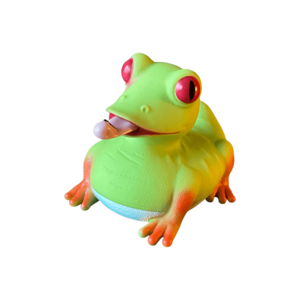 Red Eye Frog Duck