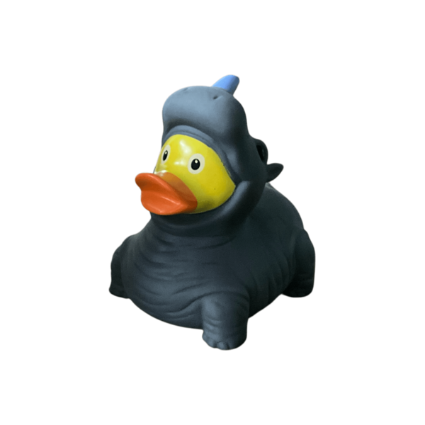Rhino Duck