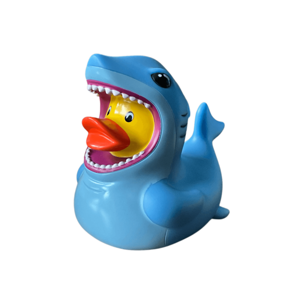 Sharky Duck