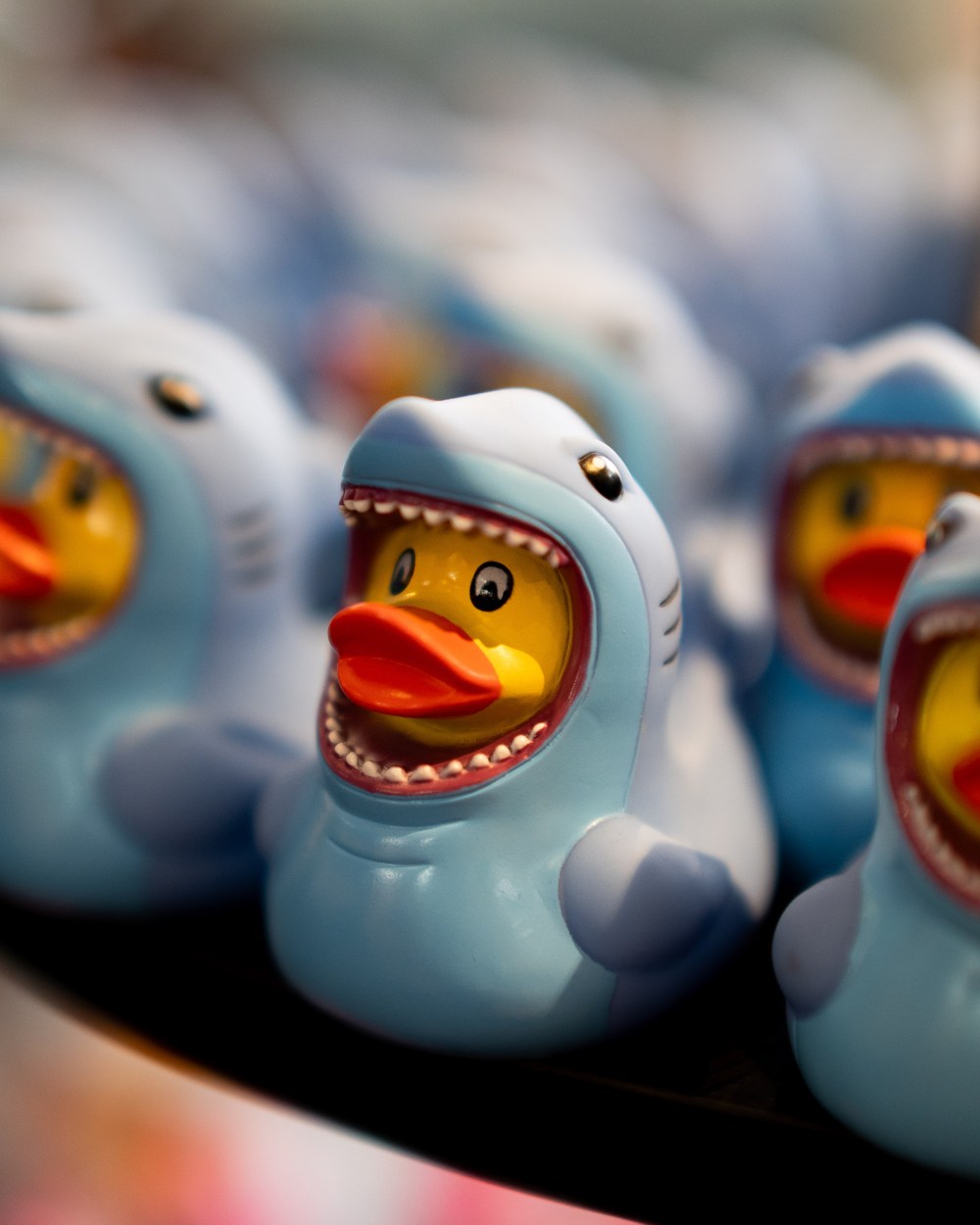 A row of Sharky ducks in shark hoods