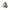 Skeleton Duck