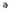 Skeleton Duck