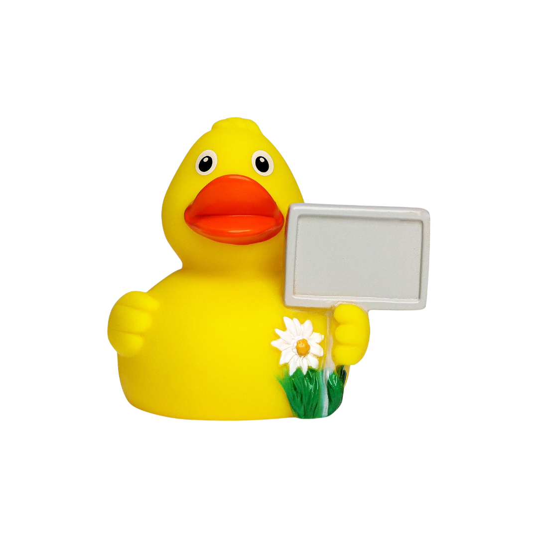 Sign Duck