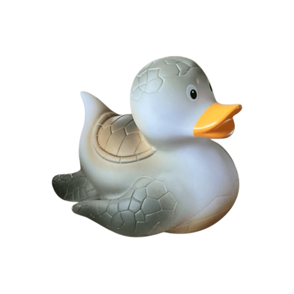 Turtle Duck