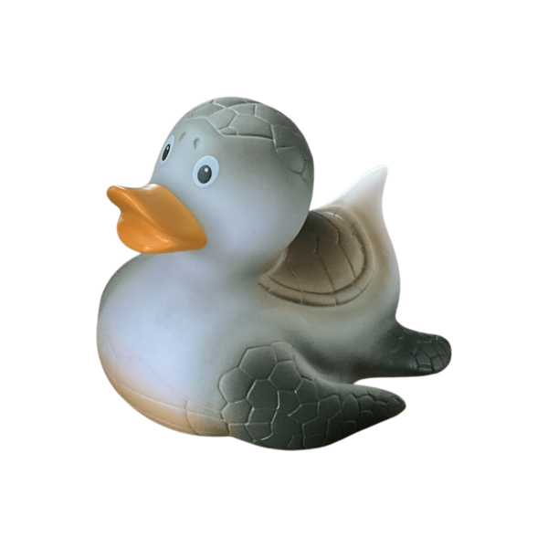 Turtle Duck
