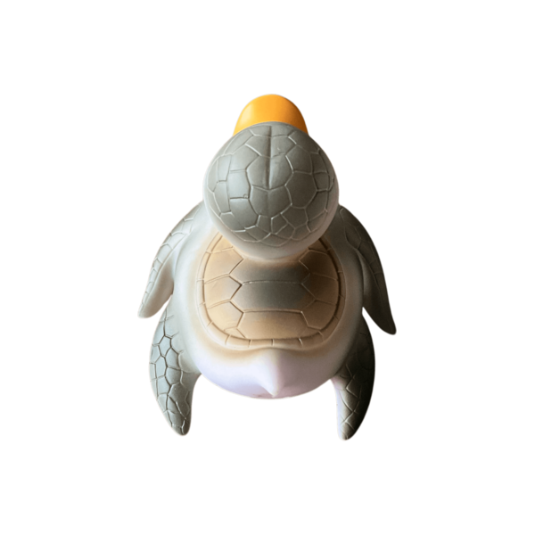 Turtle Duck