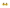 Mini Yellow Wonder